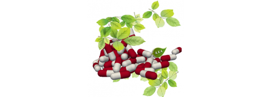 Capsule