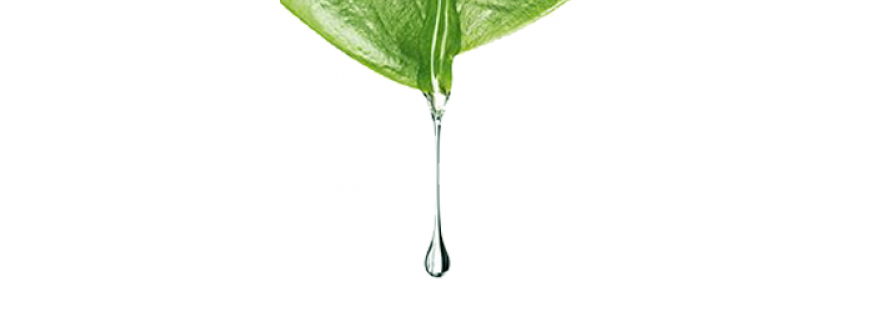 Drop