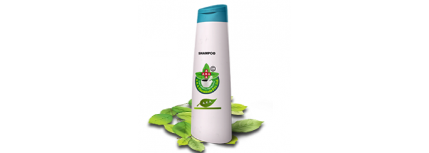 Shampoo