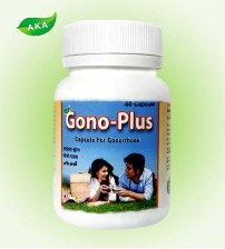 GONO-PLUS